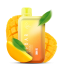 ELF BAR BC10000 Double Mango