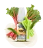 Elf Bar Elfliq Rhubarb Snoow 10 ml