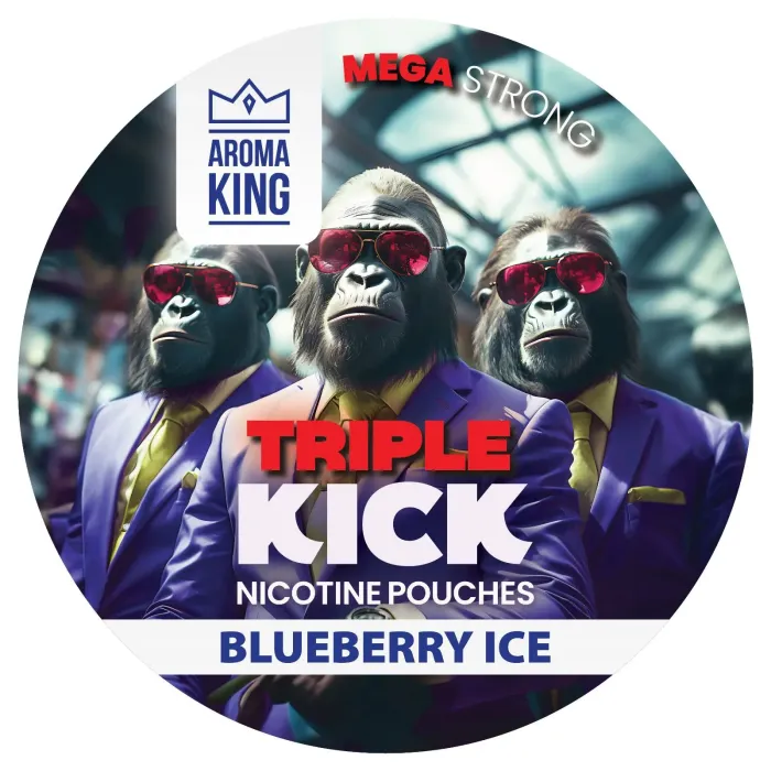 Aroma King Blueberry Ice 100mg